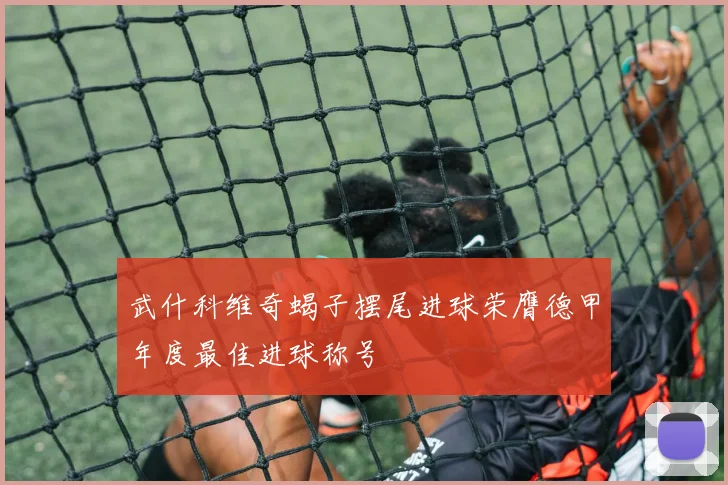 武什科维奇蝎子摆尾进球荣膺德甲年度最佳进球称号