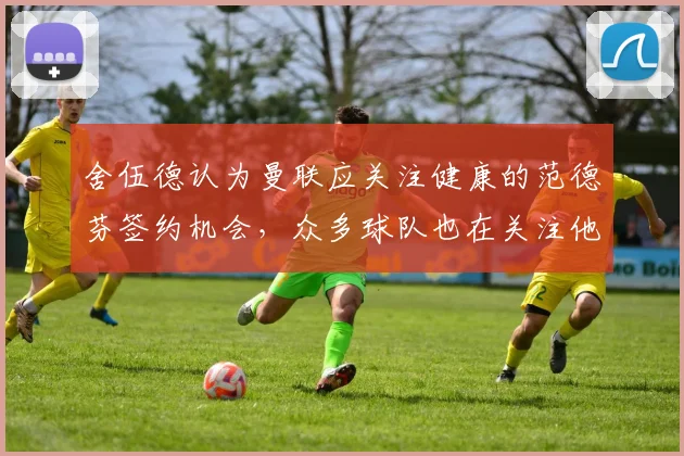 舍伍德认为曼联应关注健康的范德芬签约机会，众多球队也在关注他