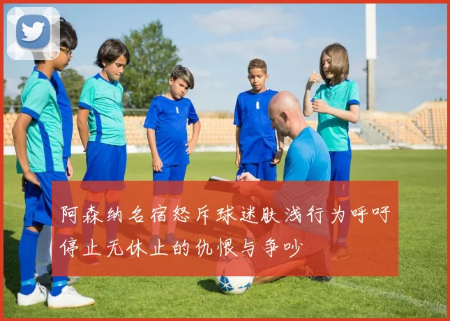 阿森纳名宿怒斥球迷肤浅行为呼吁停止无休止的仇恨与争吵